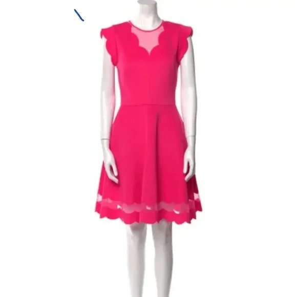 Ted Baker London Pink Sharlot Mesh Paneled Scallop Fit Flare Dress Size US 4 - Picture 2 of 9